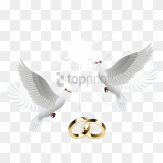 Free Png Wedding Doves With Rings Png Image With Transparent - Wedding Dove Png Transparent Background Clipart
