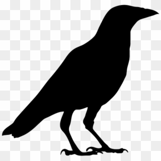 Clipart Bird Silhouettes Crow Tiny - Outline Images Of Crow - Png Download