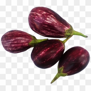 Free Png Brinjal Png Images Transparent - Eggplant Clipart
