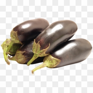 Eggplants Png Images Free Download - Fresh Vegetable Clipart