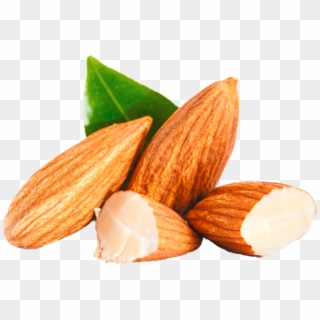 Almond Png Clipart - Almond Png Transparent Png