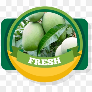 Aroma Of Our Fruit - Freshness Clipart