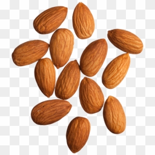 Almonds Png - 9 Orange Seeds Png Clipart