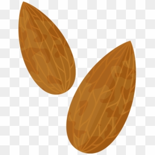 Almond Png Clipart Image - Transparent Almond Clip Art