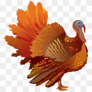 Turkey Clipart - Thanksgiving Turkey Transparent Background - Png Download