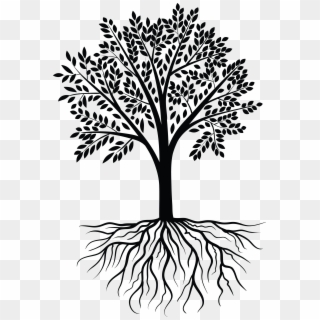 Tree Vector Black White - Tree Root Vector Png Clipart