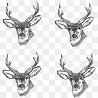 4 Deer Heads Clip Art At Clker - Buck Images Clip Art Head - Png Download
