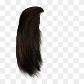 This Is Png Of Hair - Portable Network Graphics Clipart