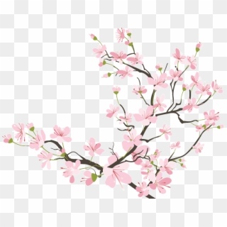 Cherry Blossom Clipart Transparent Tumblr - Japanese Cherry Blossom Transparent - Png Download
