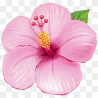 Pink Exotic Flower Png Clipart Picture - Flores Tropicais Png Desenho Transparent Png
