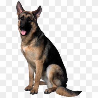 German Shepherd Dog Png Clipart