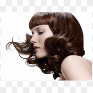 Hair Salon Png Hair Salon Models 2014 Clipart 217169 Pikpng