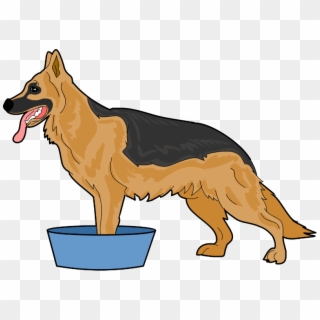 Fill Your Tub, Container Or Sink With Warm Water - Dog Catches Something Clipart