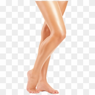 Legs Hd Png - Legs Png Clipart