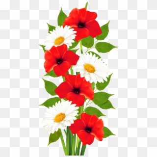 Png Flower Clipart Transpa Background Poppy Red Vine Transparent Png