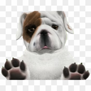 Bulldog Png Transparent Images - Foopets Bulldog Clipart