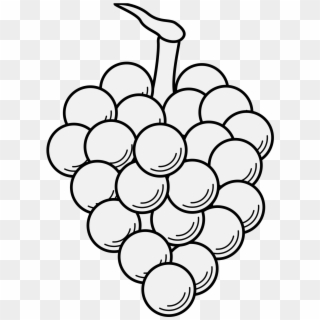 Bunch Of Grapes - Traceable Grapes Clipart