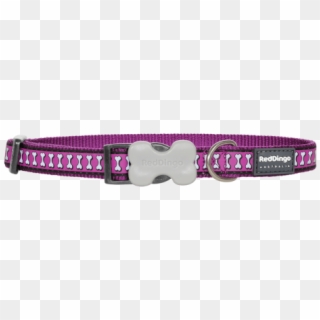 Dog Collar Png - Strap Clipart