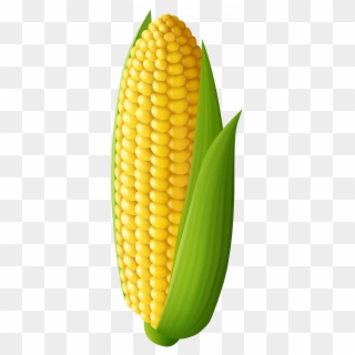 Corn On The Cob Clipart - Png Download