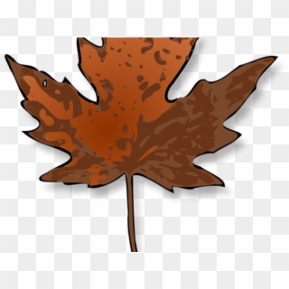 Maple Leaf Clipart Dry Leaf - Maple Leaf Clip Art - Png Download