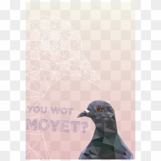 Pigeon - Stock Dove Clipart