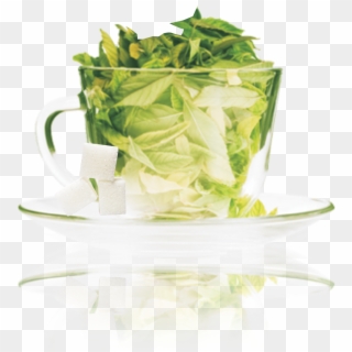 Stevia Green Tea - Home Remedies Of Diarrhoea Clipart