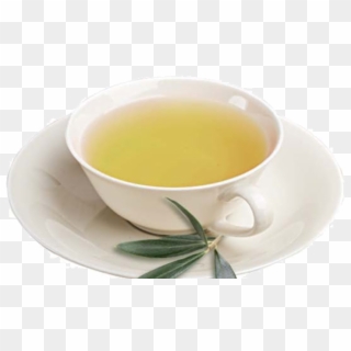 Olive Tea - Olive Leaf Tea Clipart