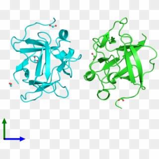 Pdb 3fj9 Coloured By Chain And Viewed From The Front - Illustration Clipart