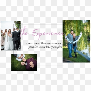 Our Client Experience We Promise - Photograph Clipart