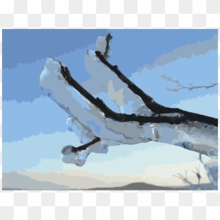 This Free Icons Png Design Of Tree Branch After Ice - 1998 Ice Storm In Quebec Car Clipart
