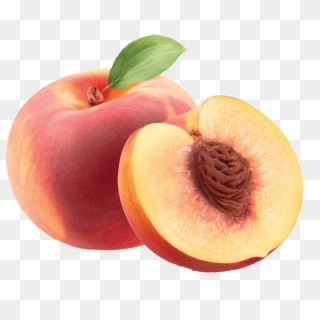 Peach Png Free Background - Seeds Inside The Fruit Clipart