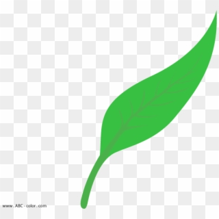 Leaf Shapes Clipart & Leaf Shapes Clip Art Images - Leaf Figure - Png Download