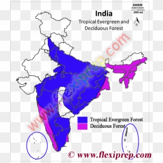 Tropical Evergreen Forest In India Map From Flexiprep - Map Of India Clipart