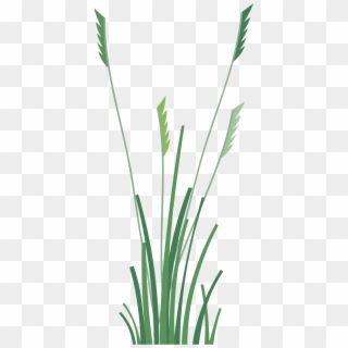 Vector Trees & Exterior Plants - Sweet Grass Clipart