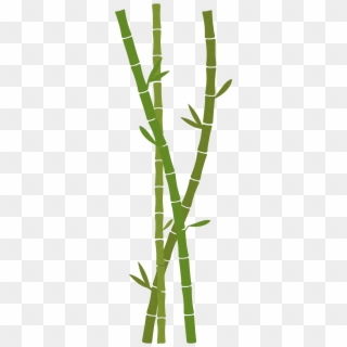 Vector Trees & Exterior Plants - Bamboo Clipart