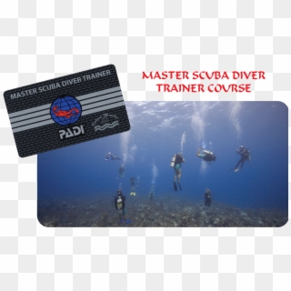 Master Scuba Diver Trainer Course Resize - Padi Clipart