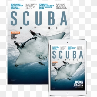 Subscribe To Scuba Diving - Great White Shark Clipart
