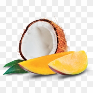 Coconut And Mango - Still Life Photography Clipart