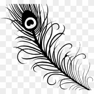 Peacock Clipart Shadow - Peacock Feather Clipart Black And White - Png Download