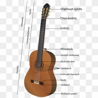 Acoustic Guitar - Guitarra Partes Clipart