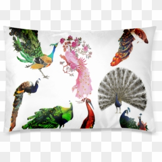 Peacock Clipart Custom Zippered Pillow Cases 20"x30" - Peacock Clipart - Png Download