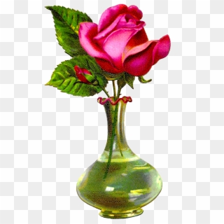 Digital Download Shabby Chic Pink Rose Floral Flower - Rose Flower With Vase Clipart