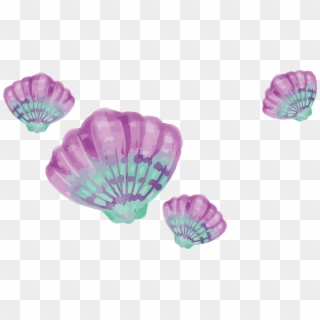 Painting Drawing Download Purple - Purple And Turquoise Shells Clipart