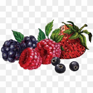 Berries Png - Mixed Berry Clipart