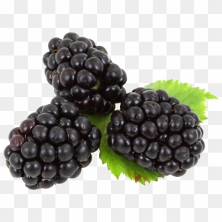 Blackberry With Leaves - Blackberries Png Clipart