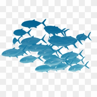 Read More › - Vector Fishes Png Clipart