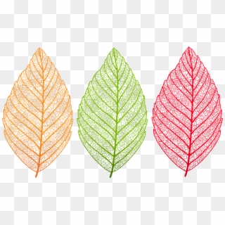 Coloring Vintage Tforia - Transparent Leaf Clipart Png