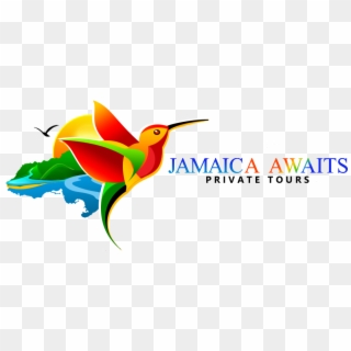 Jamaica Awaits Private Tours - Ruby-throated Hummingbird Clipart