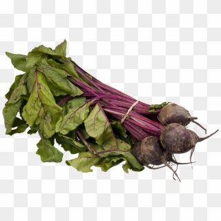 Free Png Download Beet Png Images Background Png Images - Beet Seed Sprouts Clipart