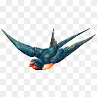 Free Digital Blue Bird In Flight Animal - Illustration Clipart